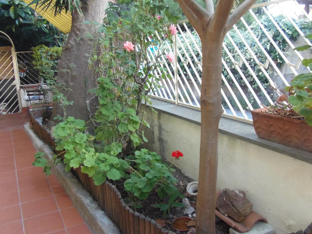 Affittacamere Il Parco Civitavecchia Buitenkant foto